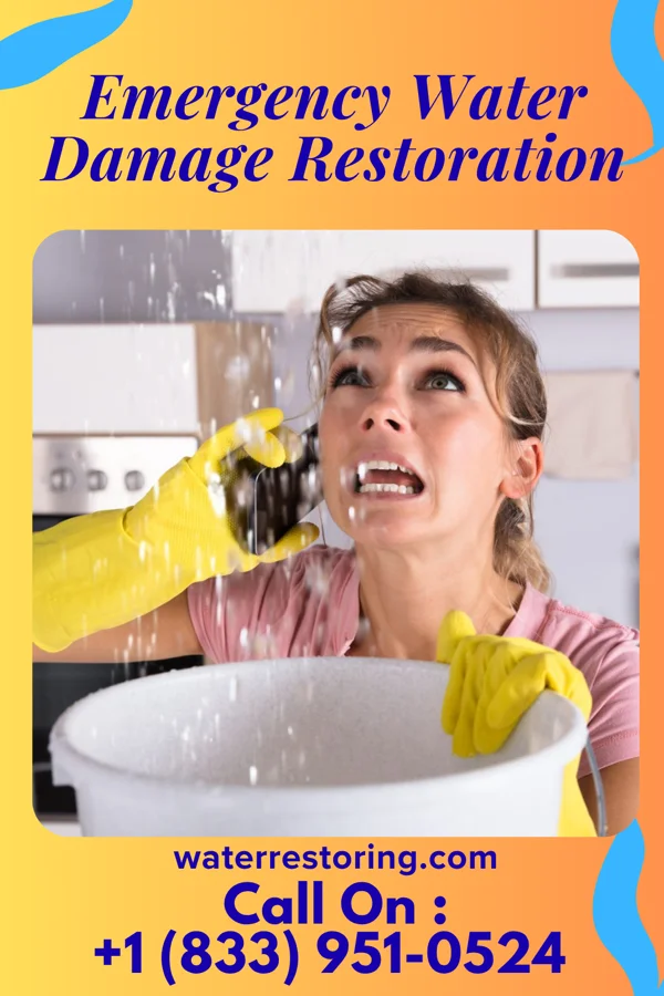 Emergency Water Damage Restoration in Alamance, NC