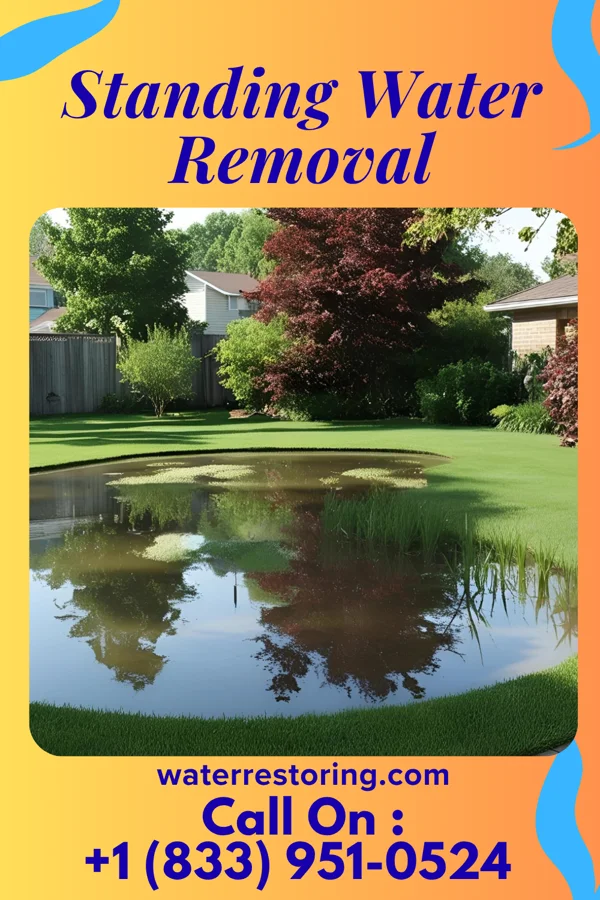Standing Water Removal in Alamance, NC